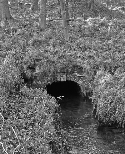 Photographs Of Hillcarr Sough
