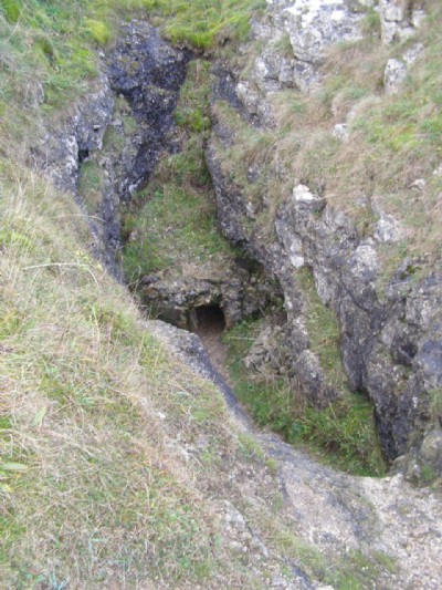 The Crawl in