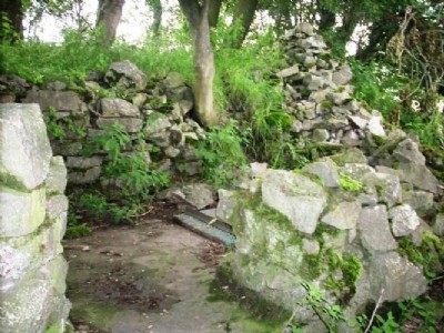 Whalf shaft in coe 2007