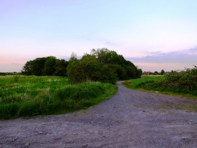 Photographs Of Hindley Field Colliery Pits No 1 & 2