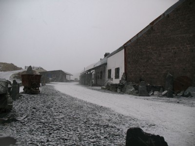 The Hause