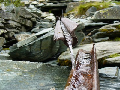 My Kind of Water Feature