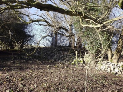 Shaft mound