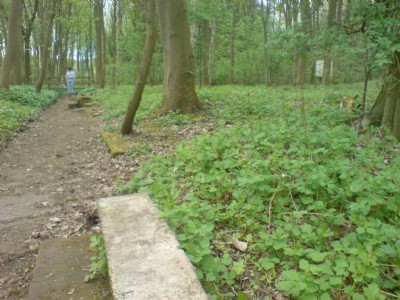 Photographs Of Houghall