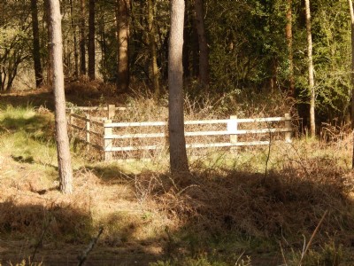 Independent Coal Pit No 6 1st Shaft. Recently capped and fenced