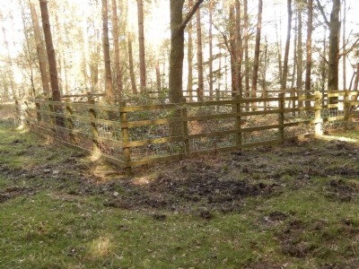 Independent Coal Pit No 6 3rd Shaft. Recently capped and fenced