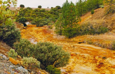 The stream below the Debris Dam, Iron Mountain Mine.