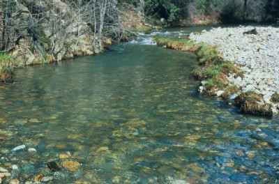 Iron Mountain Mine.