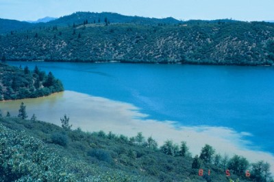 Metal sludge from Spring Creek into Keswick Reservoir.