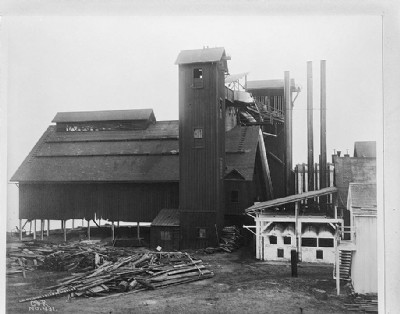 Iron Plant