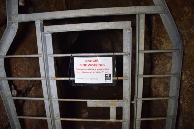 East Jane Mine