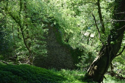 Photographs Of Jane East