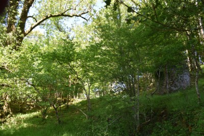 East Jane Mine