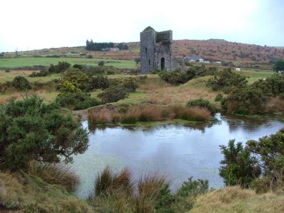 Caradon- Marke Valley Mines- Wheal Jenkin-Bellinghams Pump & Stamps 17.01.06