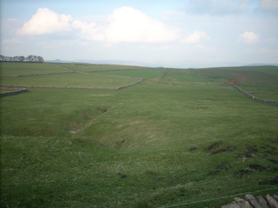 View of Rake
