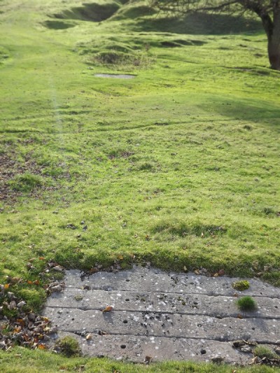 Photographs Of Jowle Grove