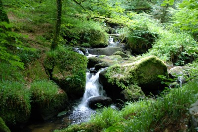 River Kennall