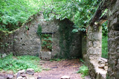 Interior of Packing House