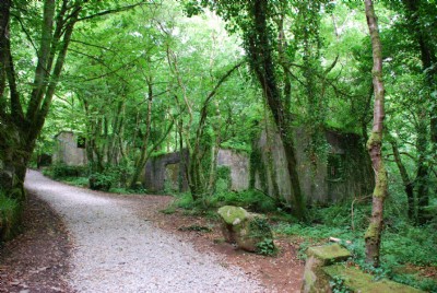 Photographs Of Kennall Vale Gunpowder