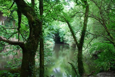 Flooded quarry