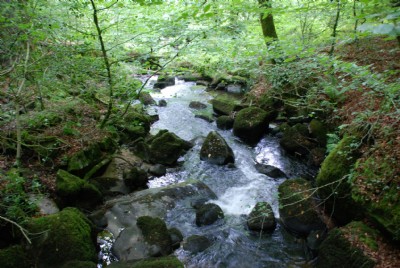 Photographs Of Kennall Vale Gunpowder (Photo ref 37178)