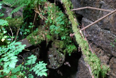 Photographs Of Kennall Vale Gunpowder (Photo ref 37180)