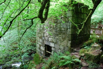 Photographs Of Kennall Vale Gunpowder