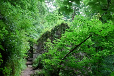 Photographs Of Kennall Vale Gunpowder (Photo ref 37183)