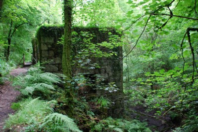 Photographs Of Kennall Vale Gunpowder (Photo ref 37187)
