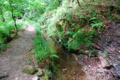 Photographs Of Kennall Vale Gunpowder (Photo ref 37189)