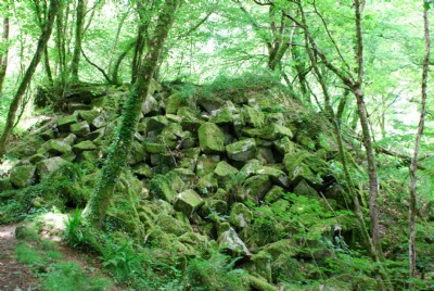 Photographs Of Kennall Vale Gunpowder (Photo ref 37192)