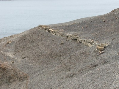 Kettleness