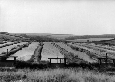 Kieve Mill, Reskadinnick, Camborne. Looking NW
