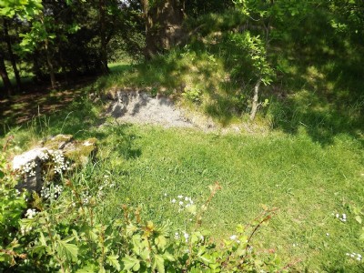Photographs Of Kingfield Pit (Photo ref 75704)