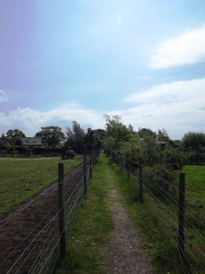 Photographs Of Kingfield Pit (Photo ref 75705)