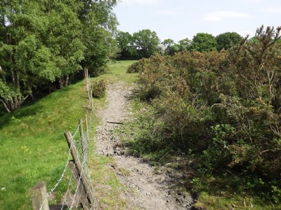 Photographs Of Kingfield Pit (Photo ref 75707)