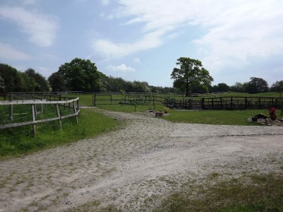 Photographs Of Kingfield Pit (Photo ref 75708)