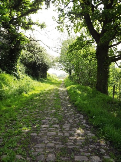Photographs Of Kingfield Pit