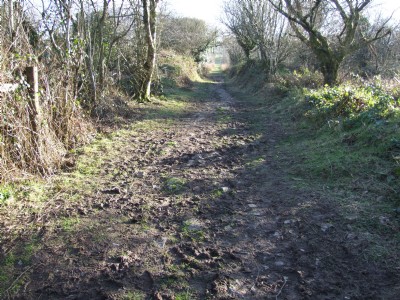 Photographs Of Kit Hill