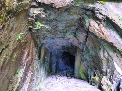 Photographs Of Klondyke