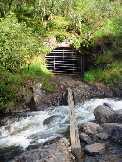 Photographs Of Klondyke