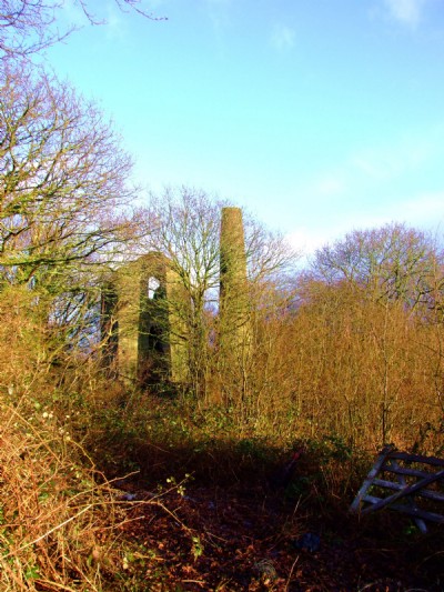 01.02.08- Wheal Langford, 64 inch later 60 inch  pump engine house Edit