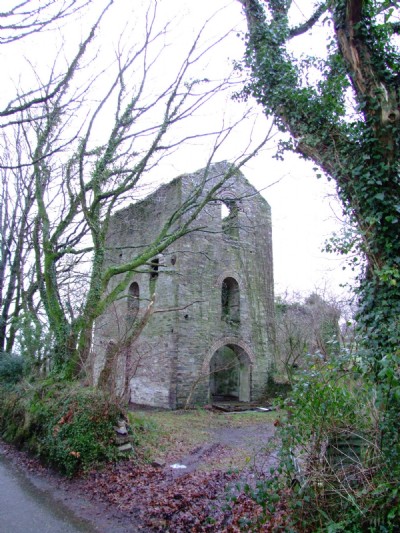 01.02.08- Wheal Langford, 64 inch later 60 inch  pump engine house
