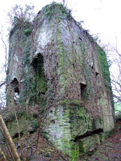 01.02.08- Wheal Langford, 12.5 inch whim later 24 inch whim engine house, engine was fully enclosed