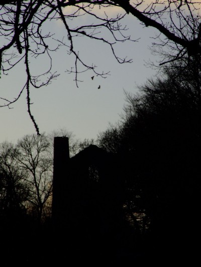 01.02.08- Wheal Langford, 64 inch later 60 inch  pump engine house