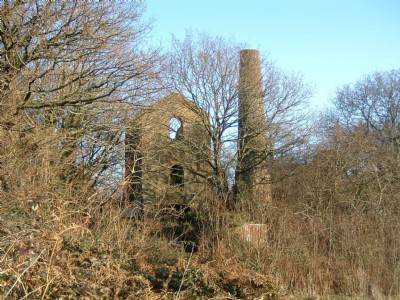 WheaL Langford