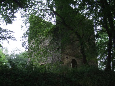 WheaL Langford