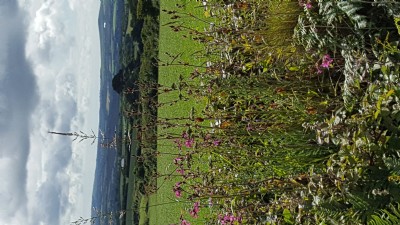 Photographs Of Lelant Consolidated