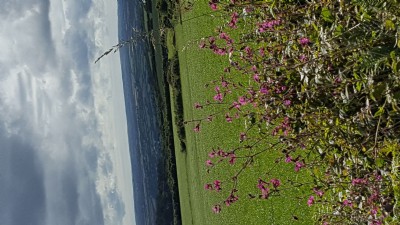 Photographs Of Lelant Consolidated