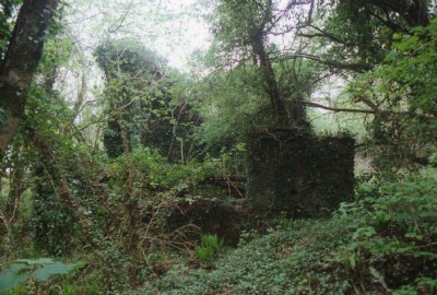 Photographs Of Ludcott & Wrey Utd.